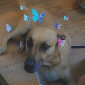 Meet your Posher, Christine